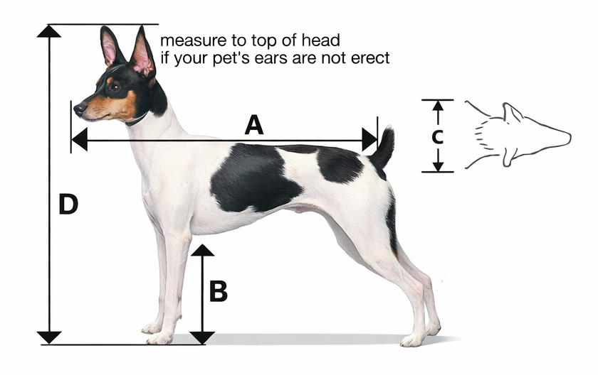 Pet measurement guide